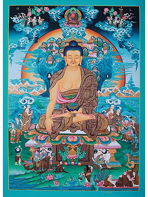 Seated Lord Amitabha Buddha | Tibetan Thangka Painting