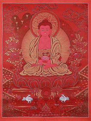 Amitabha Buddha Seated In Meditation Posture | Tibetan Brocadeless Thangka Painting