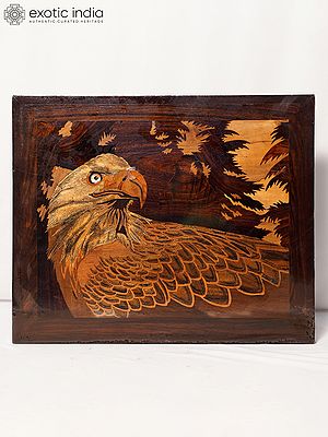 16" Sharp Eye Of Eagle | Rosewood Panel With Inlay Work