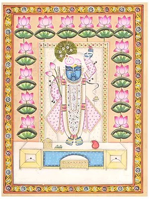 Lotus Adorned Shrinathji | Pichwai Painting