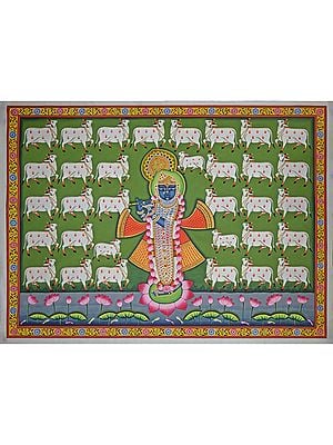 Cow Lover Shrinathji Playing Flute | Pichwai Painting | Stone Color On Cotton Cloth | By Narendra Kumar