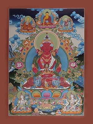 Aparmita Buddha Thangka (Brocadeless Thangka)