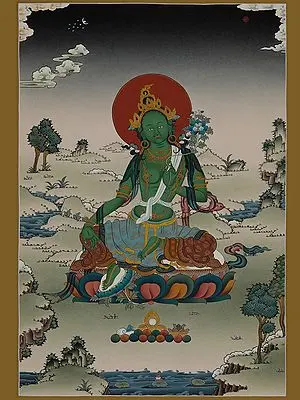 Goddess Green Tara - Tibetan Buddhist (Brocadeless Thangka)