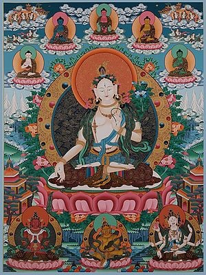 White Tara - Buddhist Deity (Brocadeless Thangka)