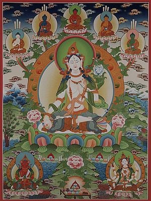 Goddess White Tara -  Tibetan Buddhist (Brocadeless Thangka)