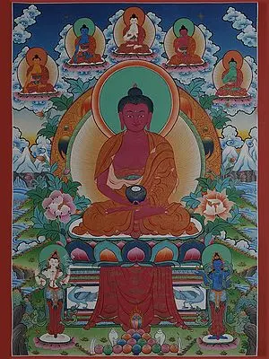 Amitabha Buddha (Brocadeless Thangka)