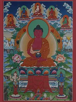 Amitabha Buddha (Brocadeless Thangka)