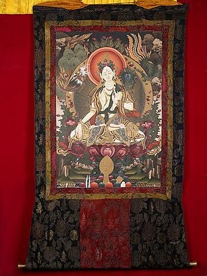 Goddess White Tara - Tibetan buddhist Deity (With Brocade Thangka)
