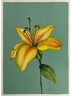 Yellow Lily Flower | Painting by Rashi Agrawal