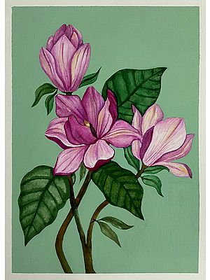 Magnolia Liliiflora | Painting by Rashi Agrawal