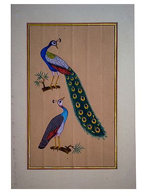 Attractive Peacocks on Branch | Natural Color on Vintage Paper | By Art Zeal