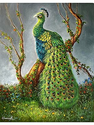 Peacock with Beautiful Tail | Oil Painting by Somnath Harne
