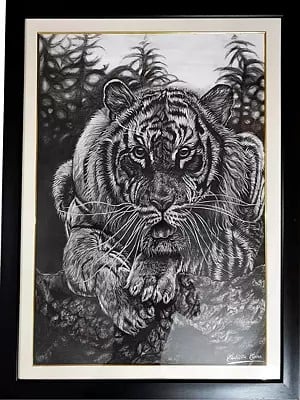 Waiting For Hunt - Tiger | Charcoal Pencil On Paper | Framed Painting | By Sudipta Sana