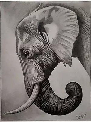 Strong Elephant With Peaceful Eyes | Charcoal On Paper | By Krutik Jangir