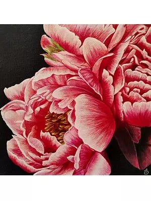 Peach Peony Flower Painting | Acrylic On Canvas | By Sannidha