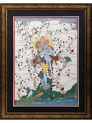 Krishna Playing Flute With Many Cow's - Pichwai Painting | With Frame | Cotton Silk | By Kailash Chandra