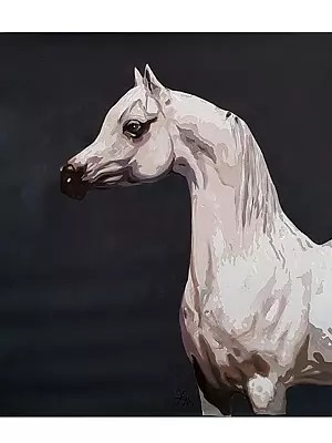 The White Horse | Acrylic On Canvas | By Yogi Kumar