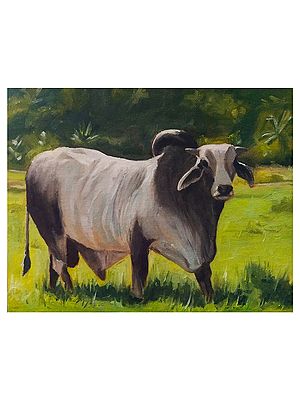 Brahma Bull | Oil painting on stretched linen | By Swathi Keshav