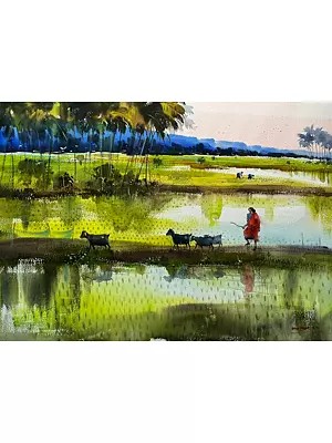 Paddy Field | Watercolor On Paper | By Santu Naskar