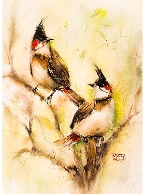 Pair Of Red Whiskered Bulbul  | Watercolor On Paper | By Subhadra Sarkar