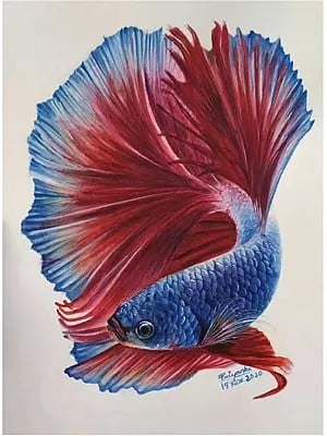 Colorful Little Betta Fish | Watercolor on Paper | By Priyanka
