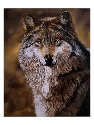 The Wolf Portrait  | Acrylic On Canvas | By Deeksha Chauhan