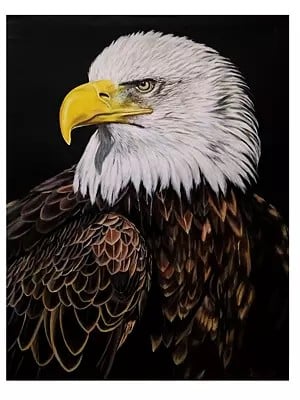 Bald Eagle : The King Of The Sky | Acrylic On Canvas | By Deeksha Chauhan