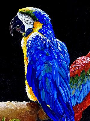 Parrot In Caged | Acrylic On Wood And Canvas | By Pramod