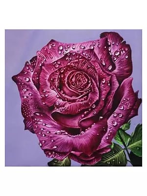 Rainy Rose | Oil On Canvas | By Arushi Tripathi