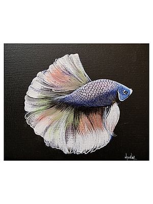 Beautiful Betta Fish | Acrylic On Canvas | By Shankar