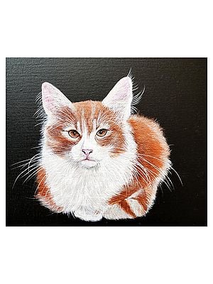 Silent Cat | Acrylic On Canvas | By Shankar