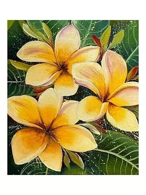 Beautiful Plumeria Flowers | Acrylic on Canvas | By Jyoti Singh