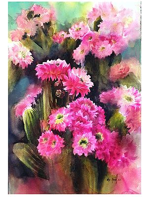 Bloomed Cactus | Watercolor Painting on Paper | Art by Puja Kumar