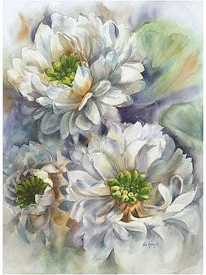 Season of Bloom - White Chrysanthemum/Guldaudi | Watercolor on Paper | Puja Kumar