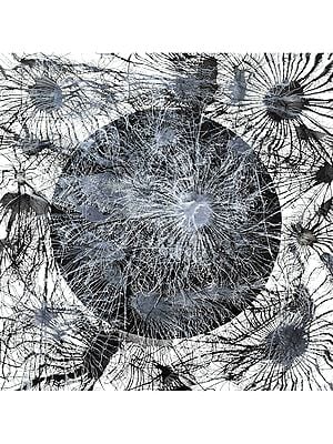 Exploflora Abstract Art | By Sumit Mehndiratta