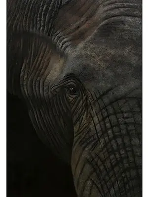 Solemn Being | Oil on Canvas | By Karthik