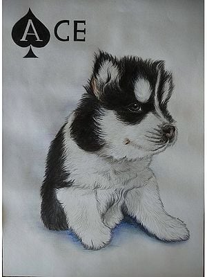 Cute Puppy Sketch | Pencil Sketch | Kanak Wagh