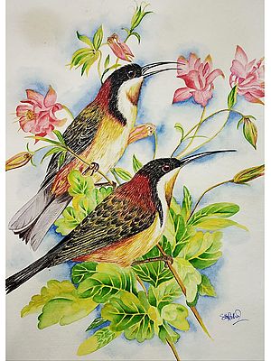 Love Birds | Watercolor On Paper | By Salisalima Ratha