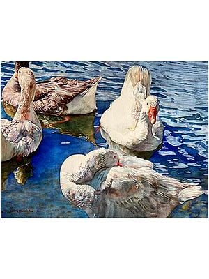 Ducks On Sea | Watercolour On Paper