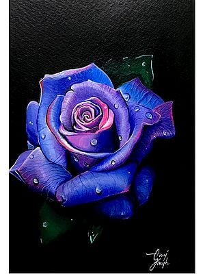 Beautiful Rose With Droplets | Acrylic On Paper