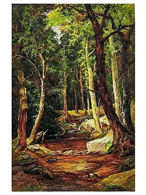 Middle of Forrest | Oil On Canvas