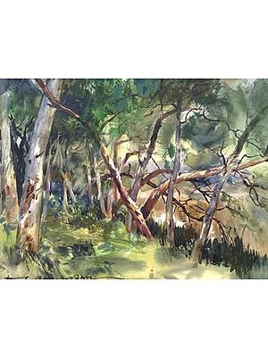 Dense Forrest Landscape | Loose Watercolour Painting | By Madhusudan Das