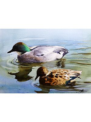 Duckling with Mother | Watercolor Painting by Achintya Hazra