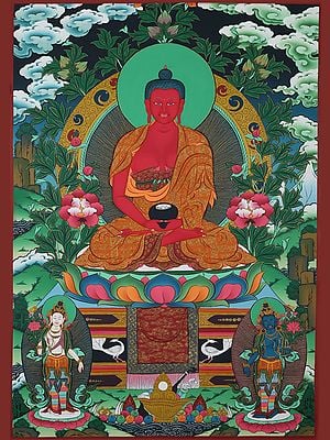 Tibetan Lord Amitabh Buddha with Lokeshvara (Brocadeless Thangka)