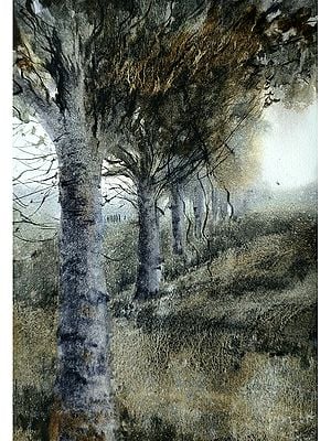 Family of Trees | Watercolor on Paper