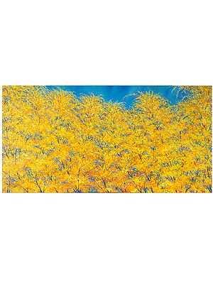 Summer Begins | Painting by Pardeep Singh