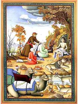 Laila’s Messenger Meets Majnu in the Forest
