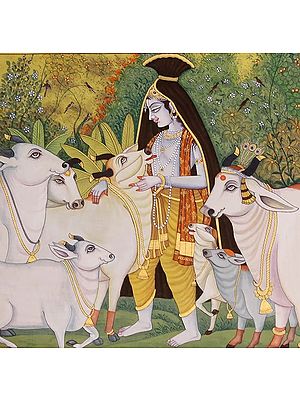 Krishna the Enchanter