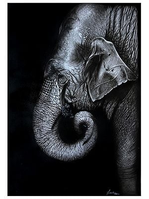 Elephat in The Dark | Charcoal on Sheet | Painting By Sanchita Agrahari