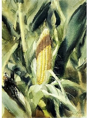 Corn Plant Watercolor Painting by Achintya Hazra
